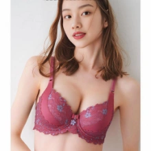 圖片 36100桃紅(32/70B~38/85B)